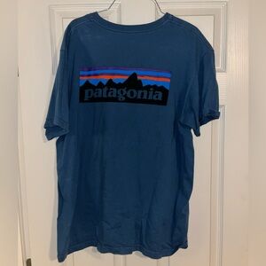 Patagonia Men's Blue Graphic Tee